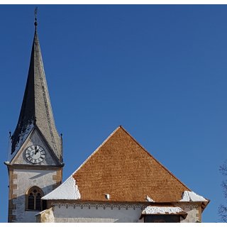 Lärchen-Öl classic | 50% günstiger kaufen